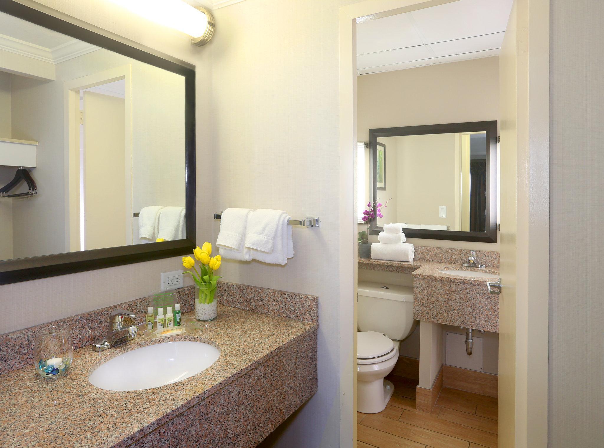 Holiday Inn Binghamton-Downtown Hawley Street By Ihg Exterior foto