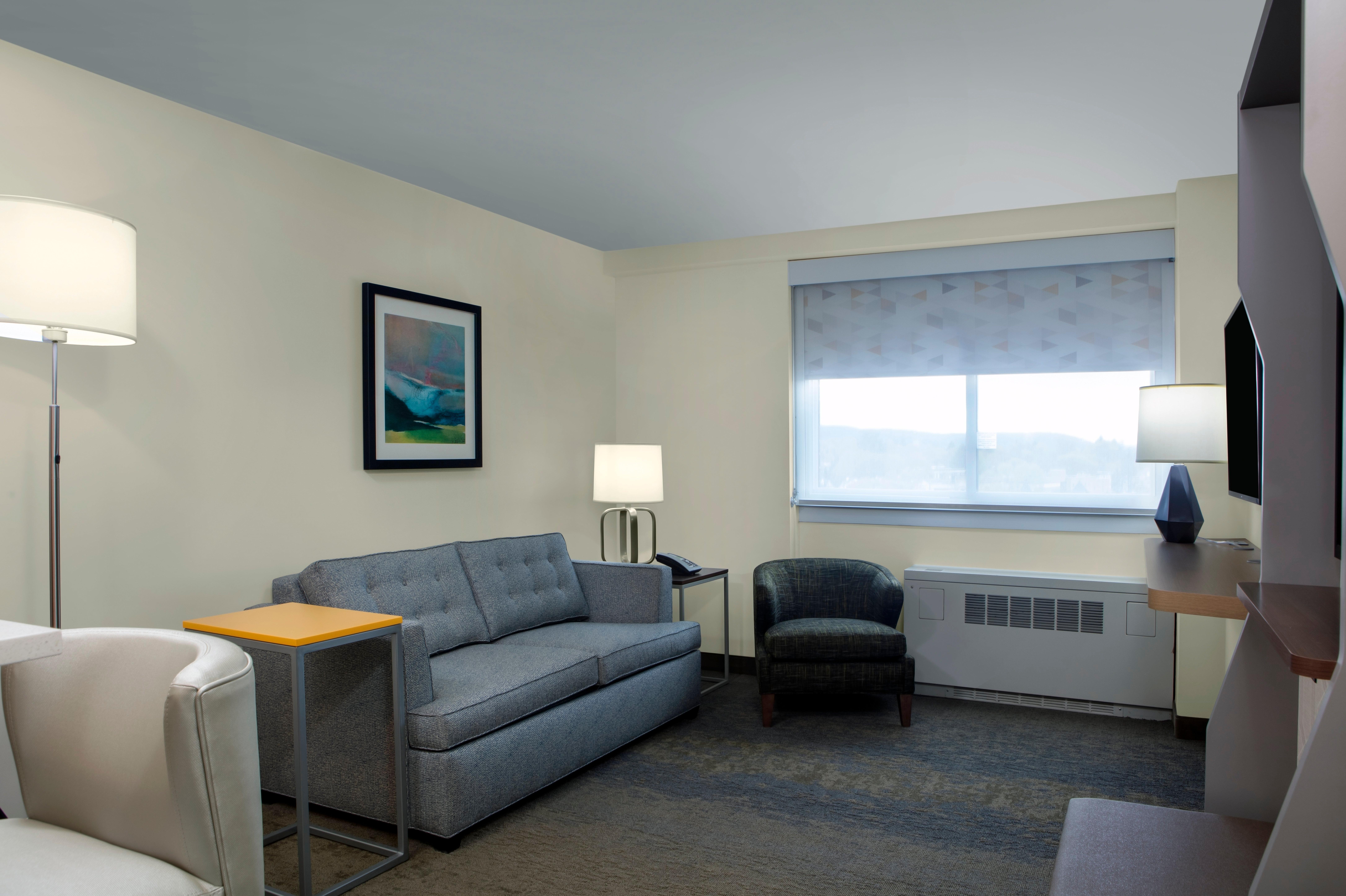 Holiday Inn Binghamton-Downtown Hawley Street By Ihg Exterior foto